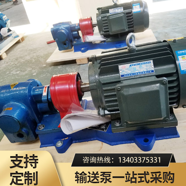 <strong>保温齿轮泵</strong>