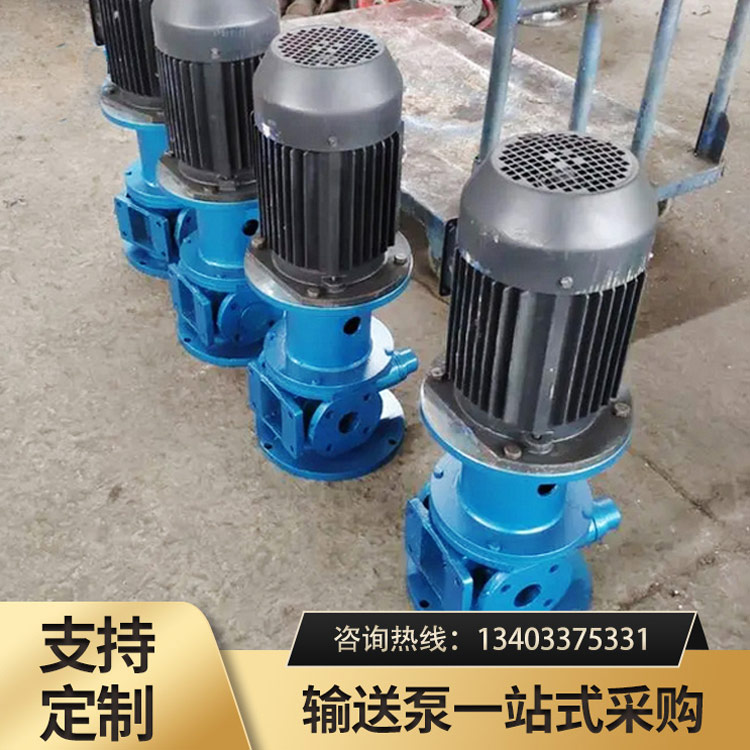 <strong>LYB型立式圆弧齿轮泵</strong>