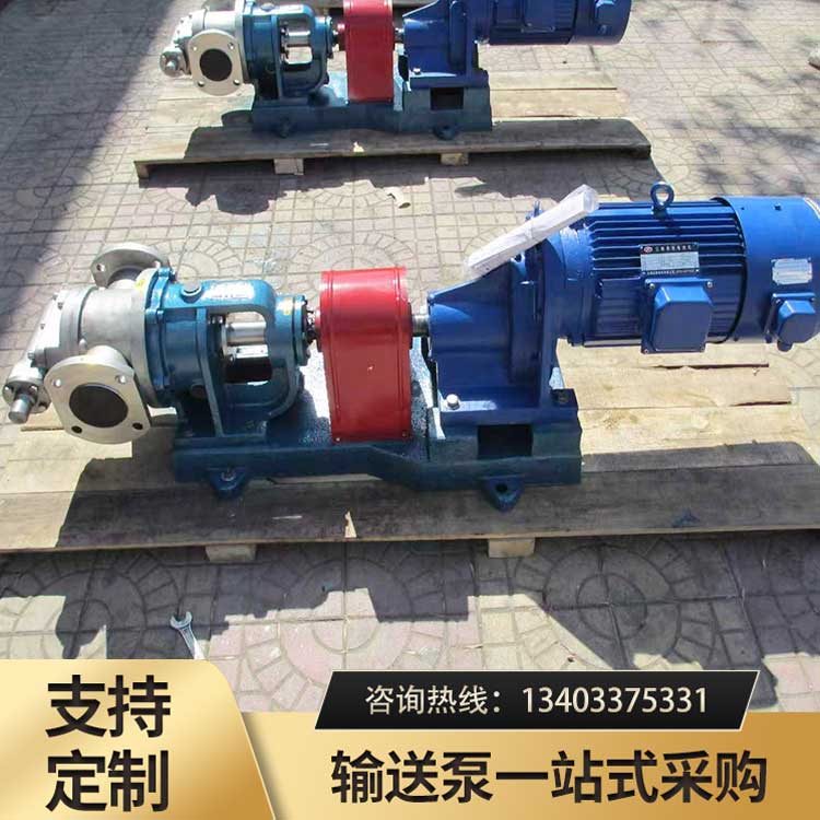 NYP30不锈钢高粘度泵