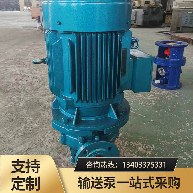 LYB型立式圆弧齿轮泵