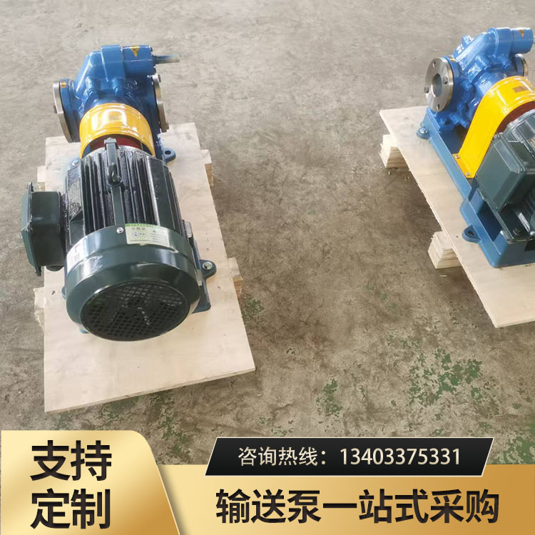 不锈钢圆弧齿轮泵