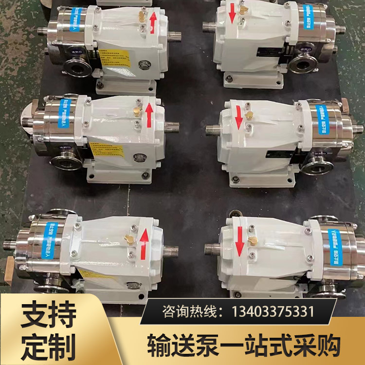 <strong>凸轮转子泵</strong>